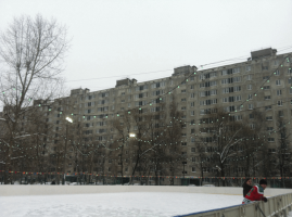 Соревнования по бегу на коньках пройдут в районе Бирюлево Западное