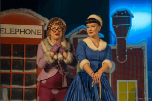 Жители Южного округа в предстоящие выходные смогут увидеть спектакль «Леди Совершенство» с Нонной Гришаевой 