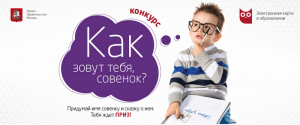 Московские учащиеся смогут предложить свой вариант имени для совёнка с электронной карты школьника