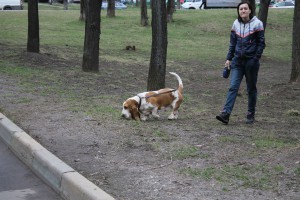 Выставка животных из приюта «Бирюлево» пройдет в парке «Кузьминки»