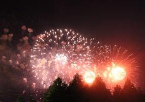 Более 50 тысяч залпов выпустят в небо во время проведения фестиваля фейерверков на юге Москвы