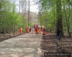 ЕР добилась для Жулебинского леса охранного статуса