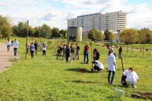 Студенты МФЮА высадили деревья на Ореховом бульваре