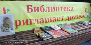 В районе Бирюлево Западное установлены «Уличные библиотеки»