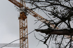 Градостроительно-земельная комиссия отменила строительство магазина в Харьковском проезде