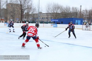 Хоккейные матчи для детских и взрослых команд пройдут в районе в марте