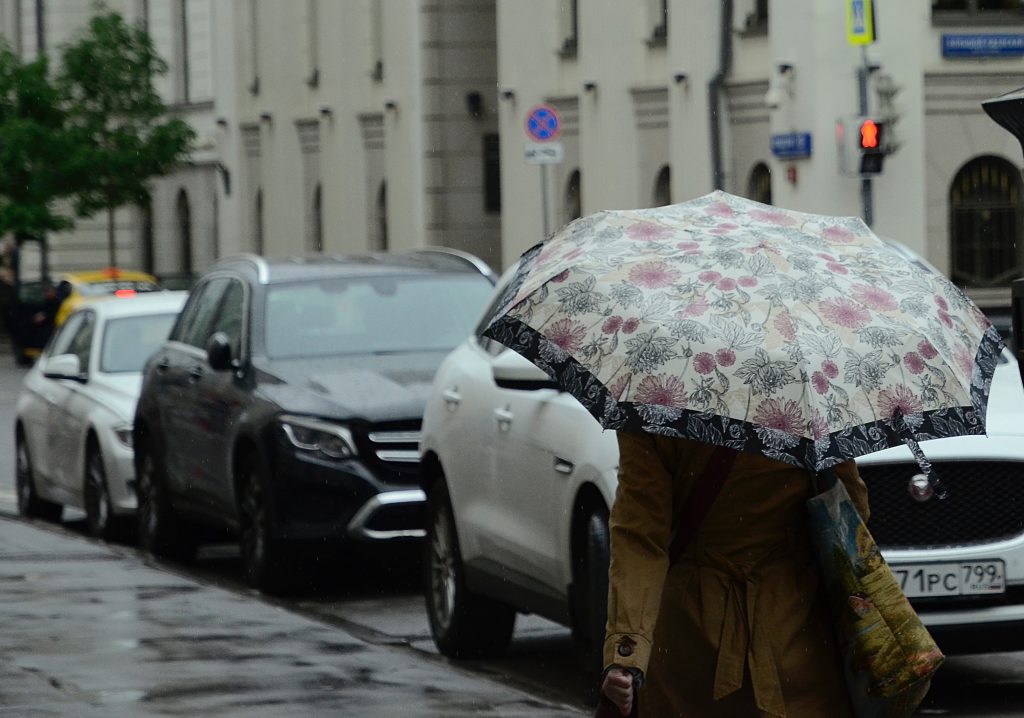 Москвичей предупредили о дожде и сильном ветре 12 апреля. Фото: Анна Быкова, «Вечерняя Москва»