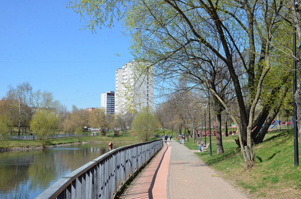 Глава управы Бирюлева Западного провел обход территории района. Фото: Анна Быкова, «Вечерняя Москва»