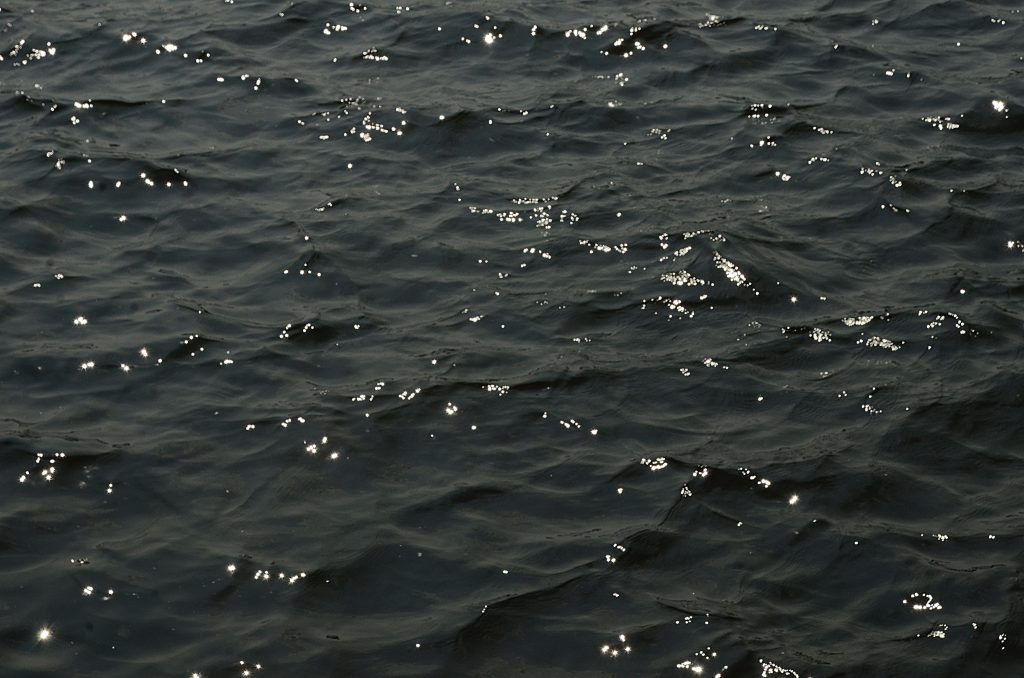 Спортсмен ФСО «Юность Москвы» принял участие в турнире по гребному спорту. Фото: Анна Быкова, «Вечерняя Москва»