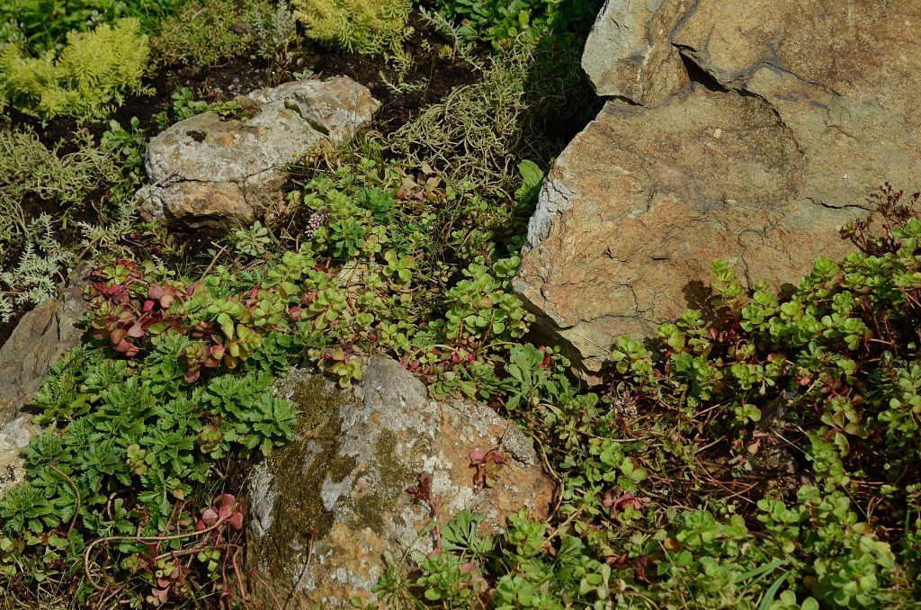 Интерактивная программа по экологии пройдет в КЦ «Дружба». Фото: Анна Быкова, «Вечерняя Москва»