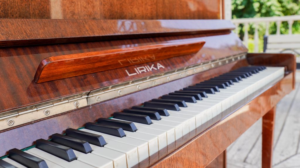 Представители Молодежной палаты района Бирюлево Западное анонсировали музыкальный вечер в КЦ «Дружба». Фото: Ксения Догонашева, «Вечерняя Москва»