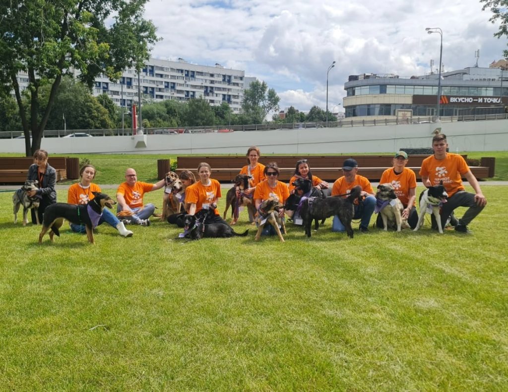 Сотрудники муниципального питомника «Бирюлево» анонсировали проведение выставки-пристройства. Фото: официальная страница муниципального питомника «Бирюлево» в социальных сетях