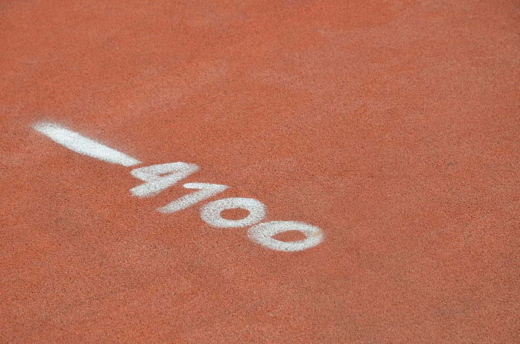 Бесплатные тренировки по бегу пройдут в Бирюлевском дендропарке. Фото: Анна Быкова, «Вечерняя Москва»