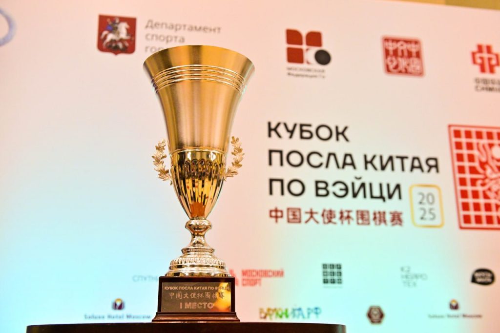 Кубок Посла Китая по Вэйци прошёл в Москве. Фото: Сергей Киселев, Агентство городских новостей «Москва»