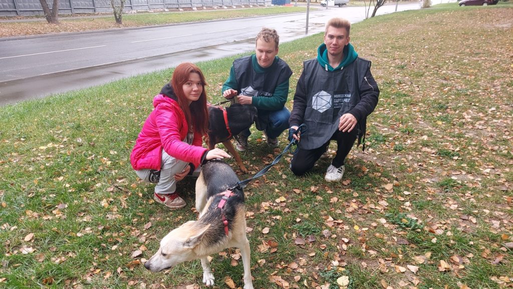 Юные парламентарии района посетили приют для животных. Фото: страница Молодежной палаты района Бирюлево Западное в социальных сетях