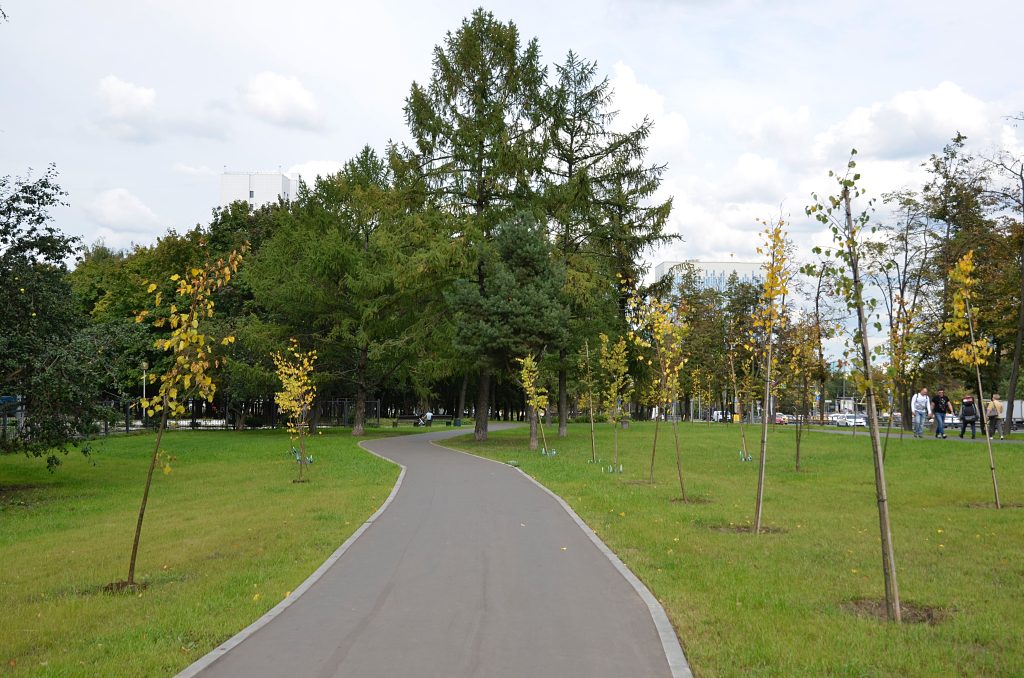 Работы по благоустройству «народных троп» завершили в Бирюлеве Западном. Фото: Анна Быкова, «Вечерняя Москва»