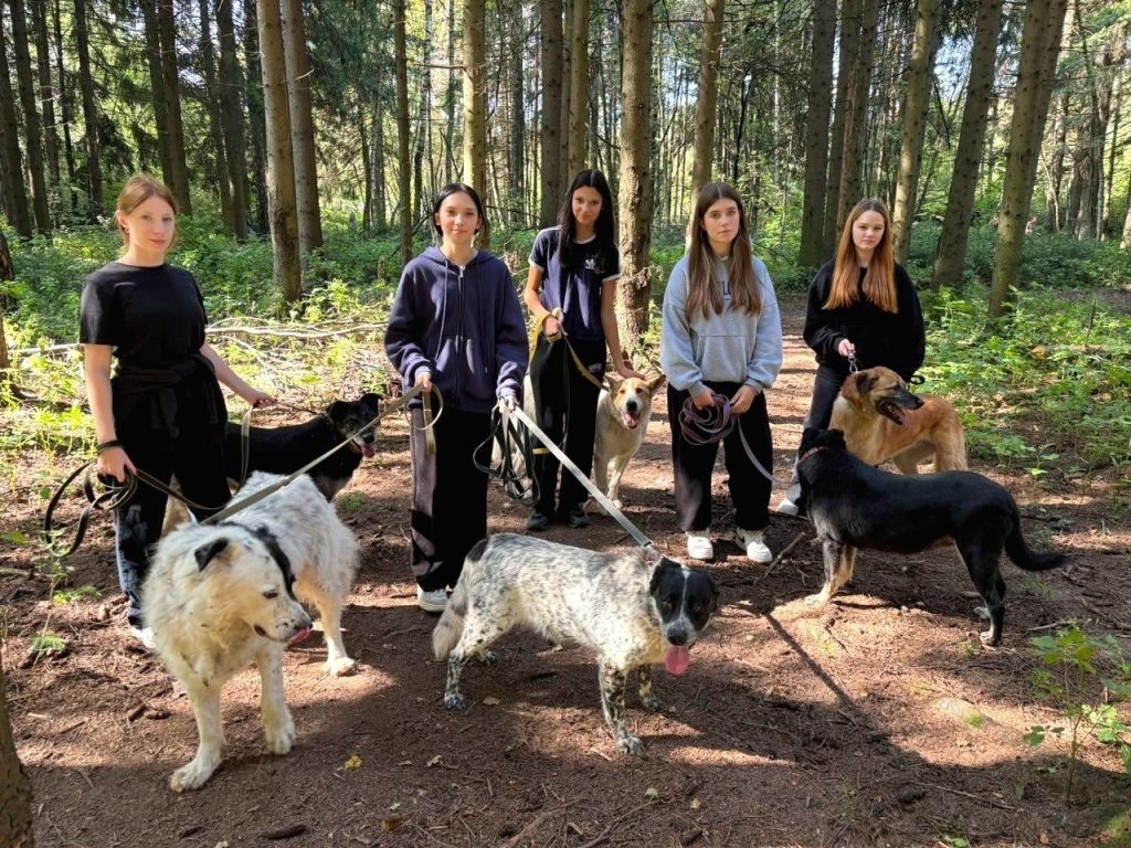 Студенты-кинологи ОКГ «Столица» поддержали один из столичных приютов для животных. Фото: страница ОКГ «Столица» в социальных сетях