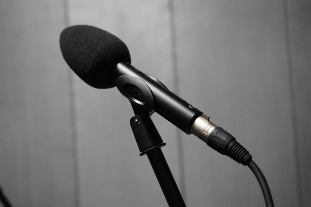 Концерт в честь Дня народного единства пройдет в Культурном центра «Дружба». Фото: Анна Быкова, «Вечерняя Москва»