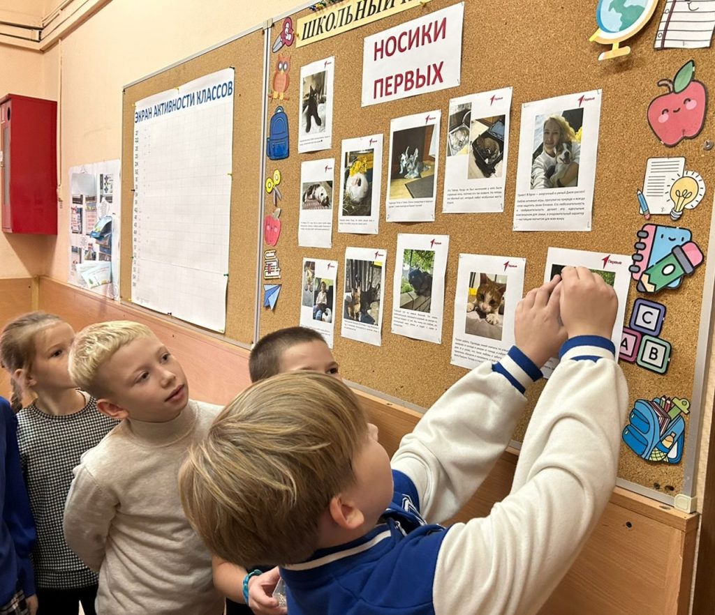 «Носики Первых»: ученики школы №667 принимают участие во Всероссийской акции. Фото: официальная страница школы №667 имени Героя Советского Союза Константина Самсонова в социальных сетях