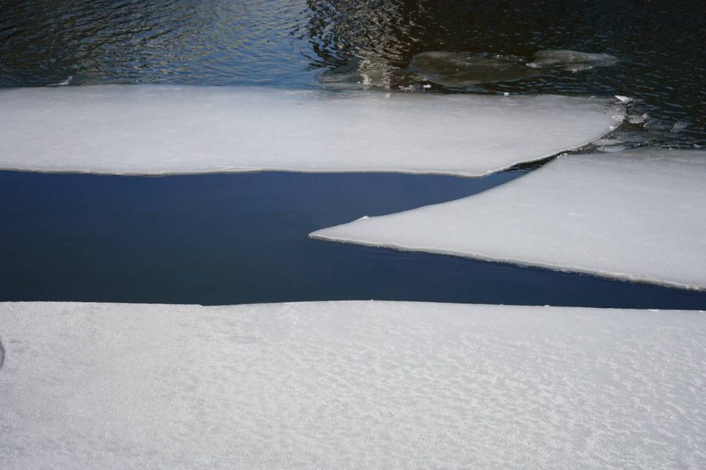 Фото: Анна Быкова, «Вечерняя Москва»