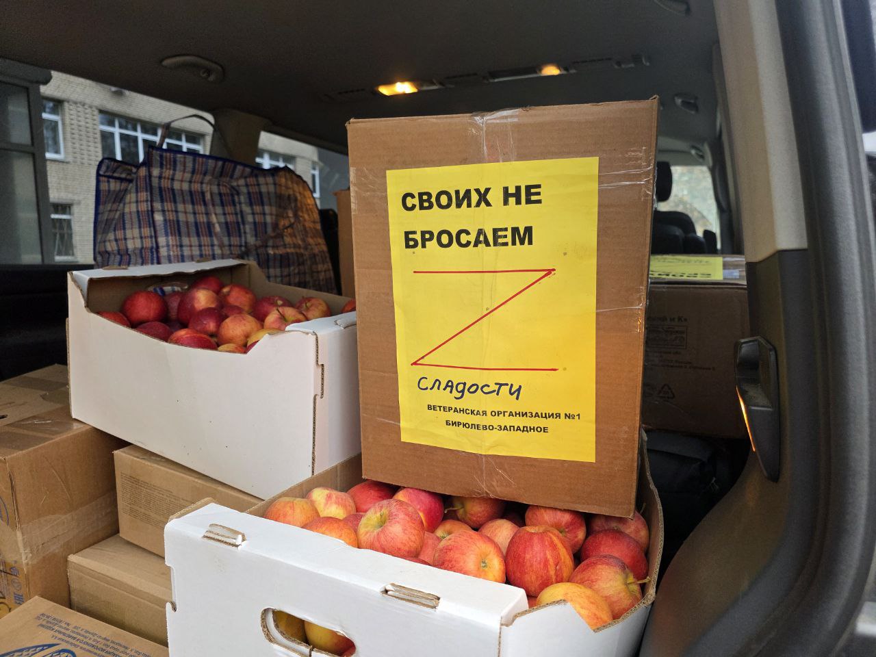 Фото: Алина Суровова