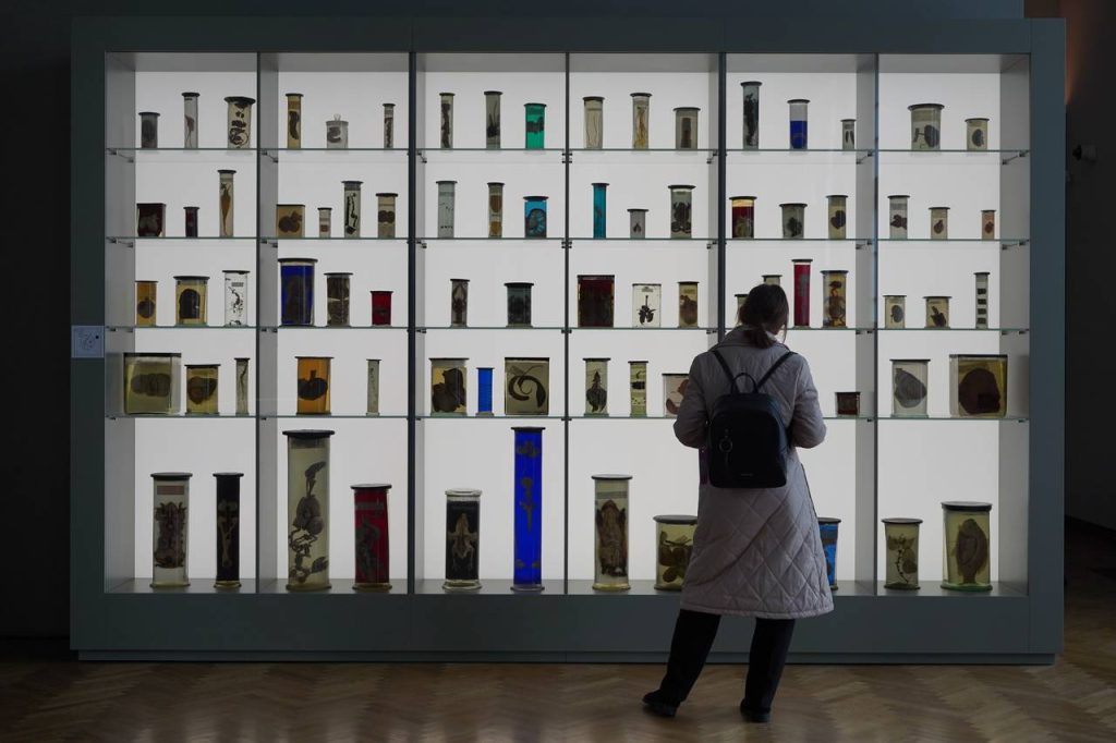 Студенты-архитекторы ОКГ «Столица» прошли исторический квест в Музее Победы. Фото: Анна Быкова, «Вечерняя Москва»