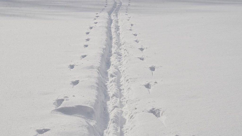Биатлонисты «Юности Москвы» завоевали три медали в первый день соревнований. Фото: Анна Быкова, «Вечерняя Москва»
