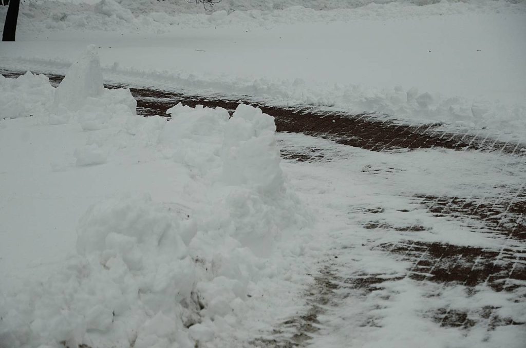 Члены МП Бирюлева Западного провели уборку снега. Фото: Анна Быкова, «Вечерняя Москва»