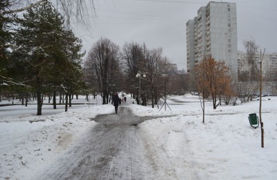 Сквер "Школьный" в районе Бирюлево Западное