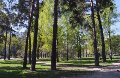 В Москве в скверах и парках организуют акарицидную обработку