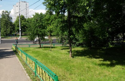 В Москве больше всего дворов весной озеленили на территории Южного округа