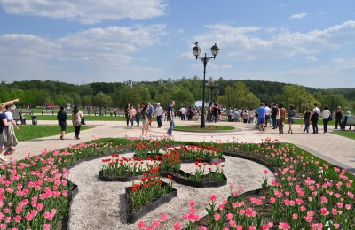В Битцевском парке планируется высадить порядка 1.6 тысяч цветов.