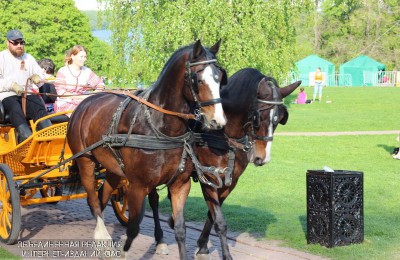 Праздник лошади пройдет в одном из музеев-заповедников на территории ЮАО