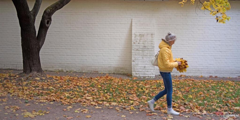 Жители Бирюлева Западного решат, как поступить с опавшей листвой