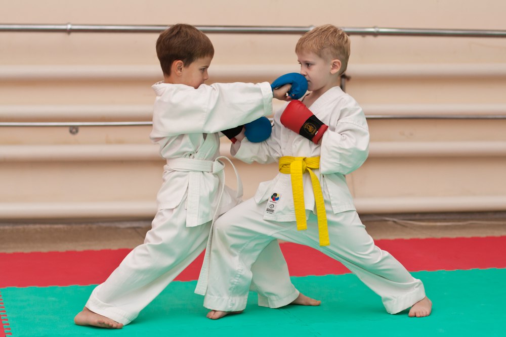 В районной школе открыли дополнительный набор на занятия по каратэ от академии «Шотокан»