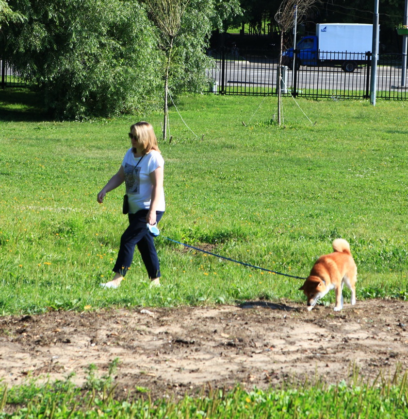 Выгул собак в парке