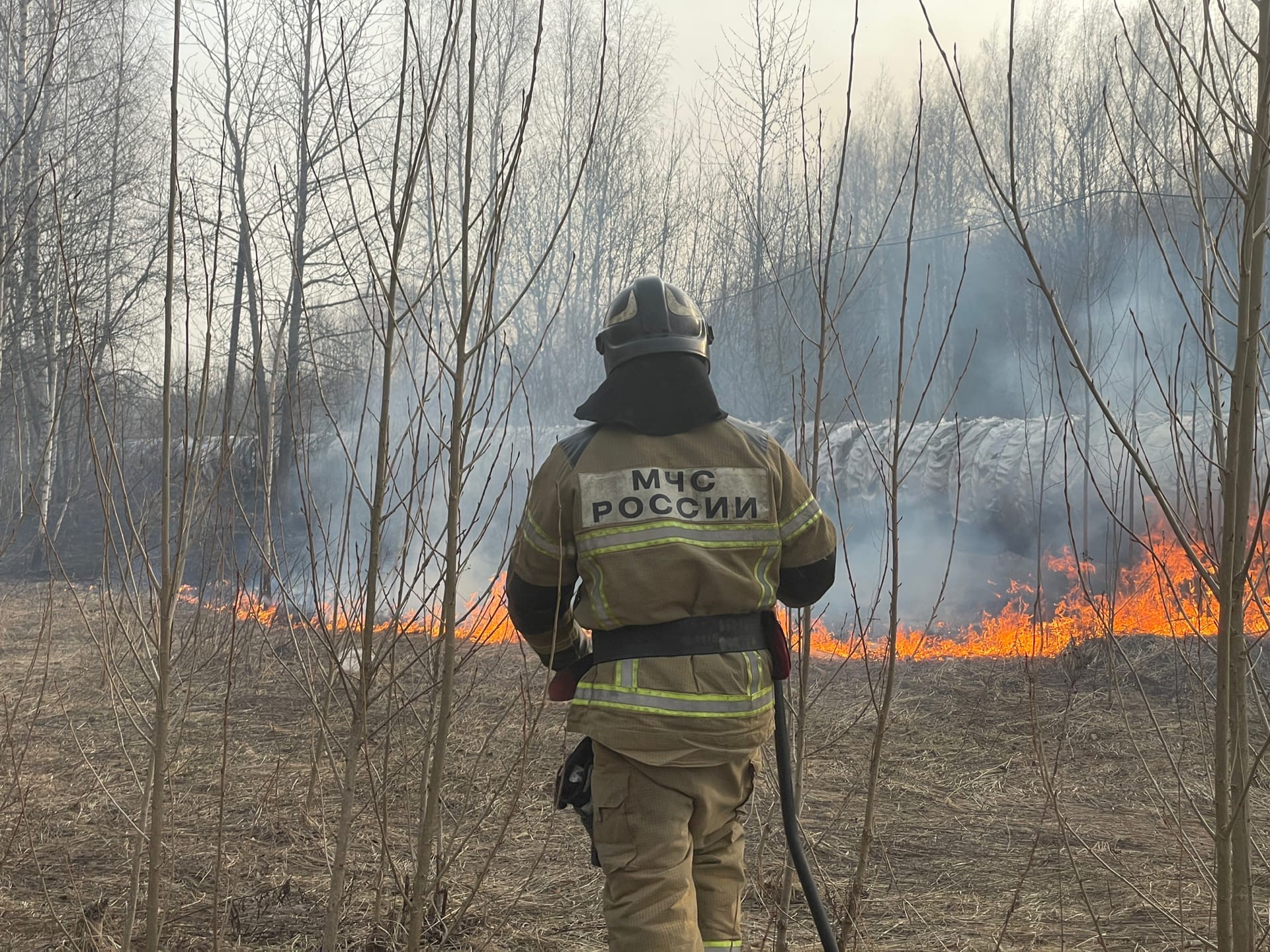 Лесные пожары. Пожар в природной среде. Пожар Лесной животные. Пожары в Москве 2010.