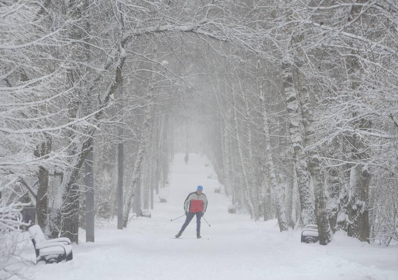 Жители района Бирюлево Западное смогут посетить Лыжный прогулочный маршрут в дендропарке. Фото: Александр Кожохин, «Вечерняя Москва»