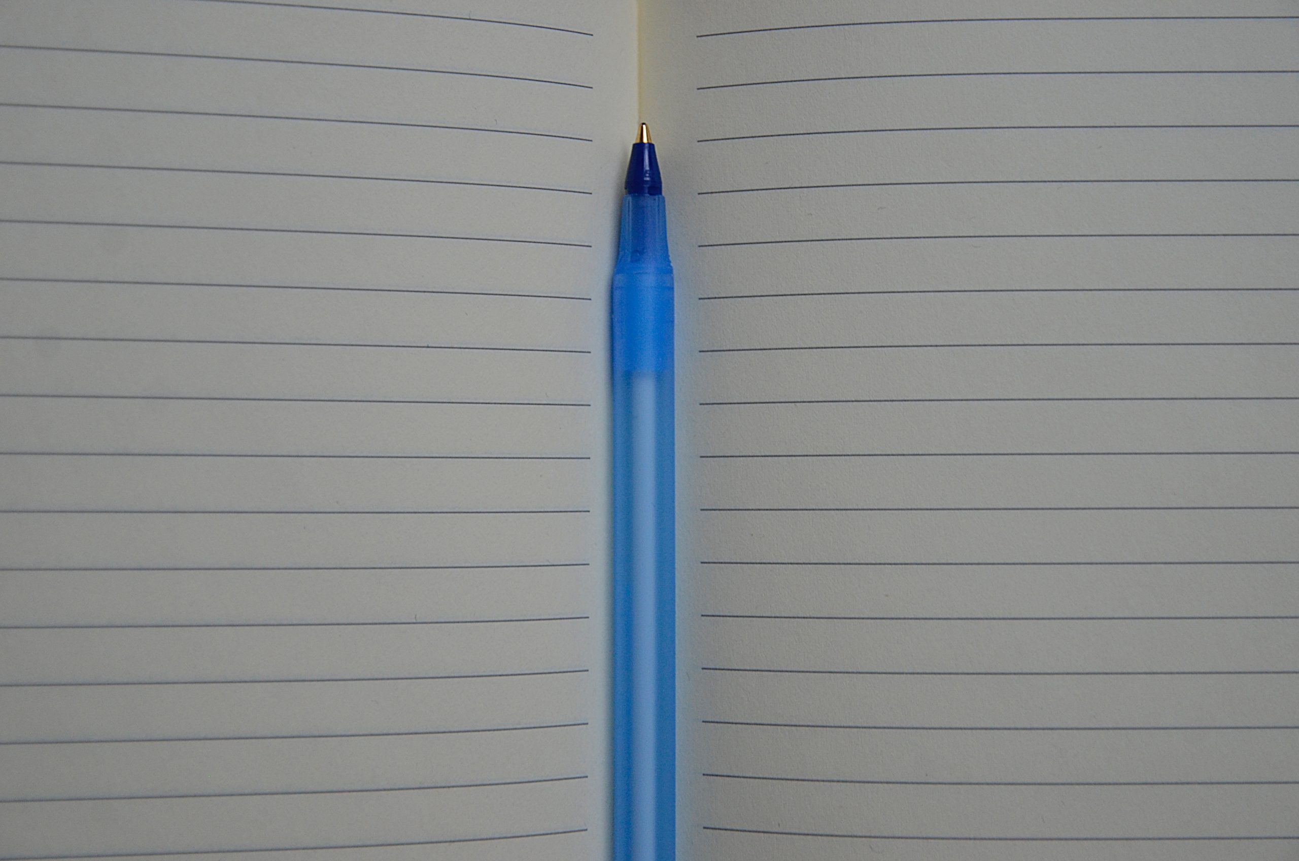 Сотрудники ОКГ «Столица» вошли в состав экспертов конкурса объединения «Движение Первых». Фото: Анна Быкова, «Вечерняя Москва»