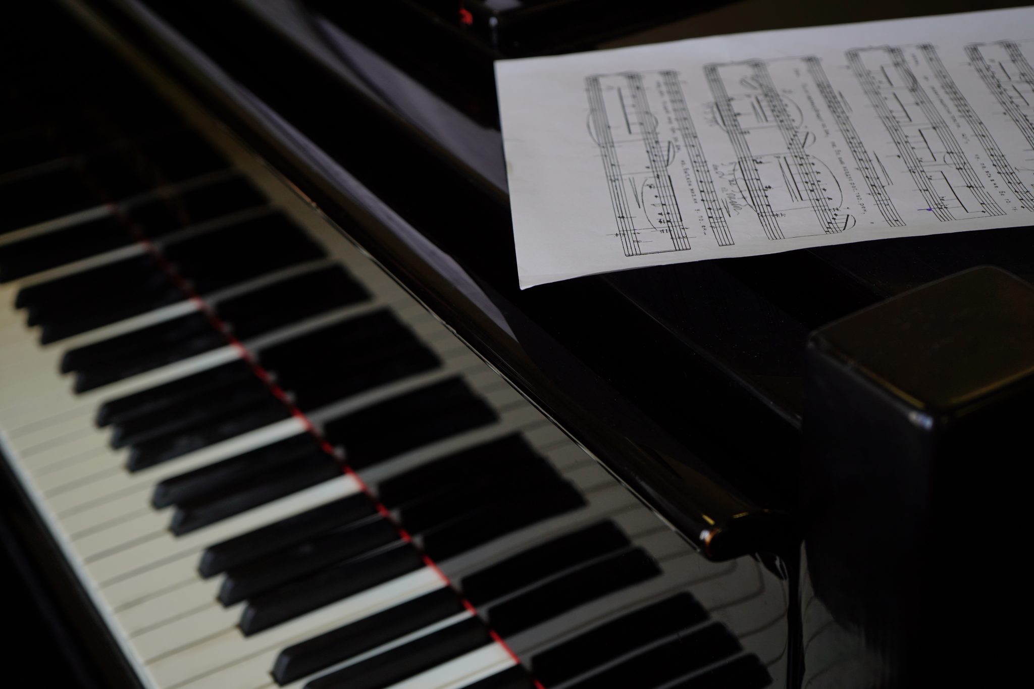 Концерт пройдет в ЦМД «Бирюлево Западное». Фото: Анна Быкова, «Вечерняя Москва»