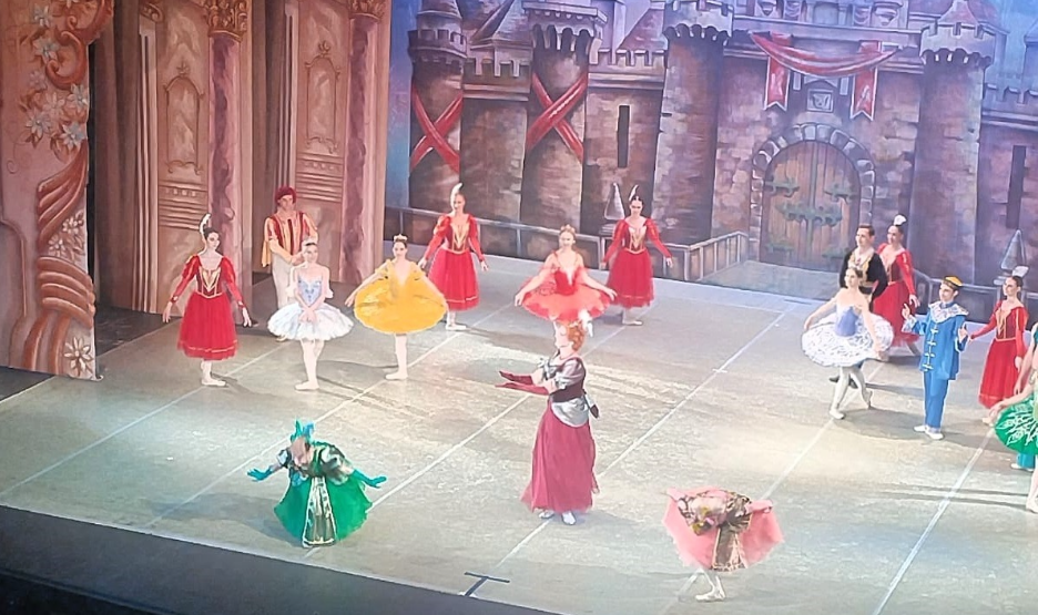 Ученик школы №667 имени Героя Советского Союза Константина Самсонова посетил балетную постановку. Фото: официальная страница школы №667 имени Героя Советского Союза Константина Самсонова в социальных сетях