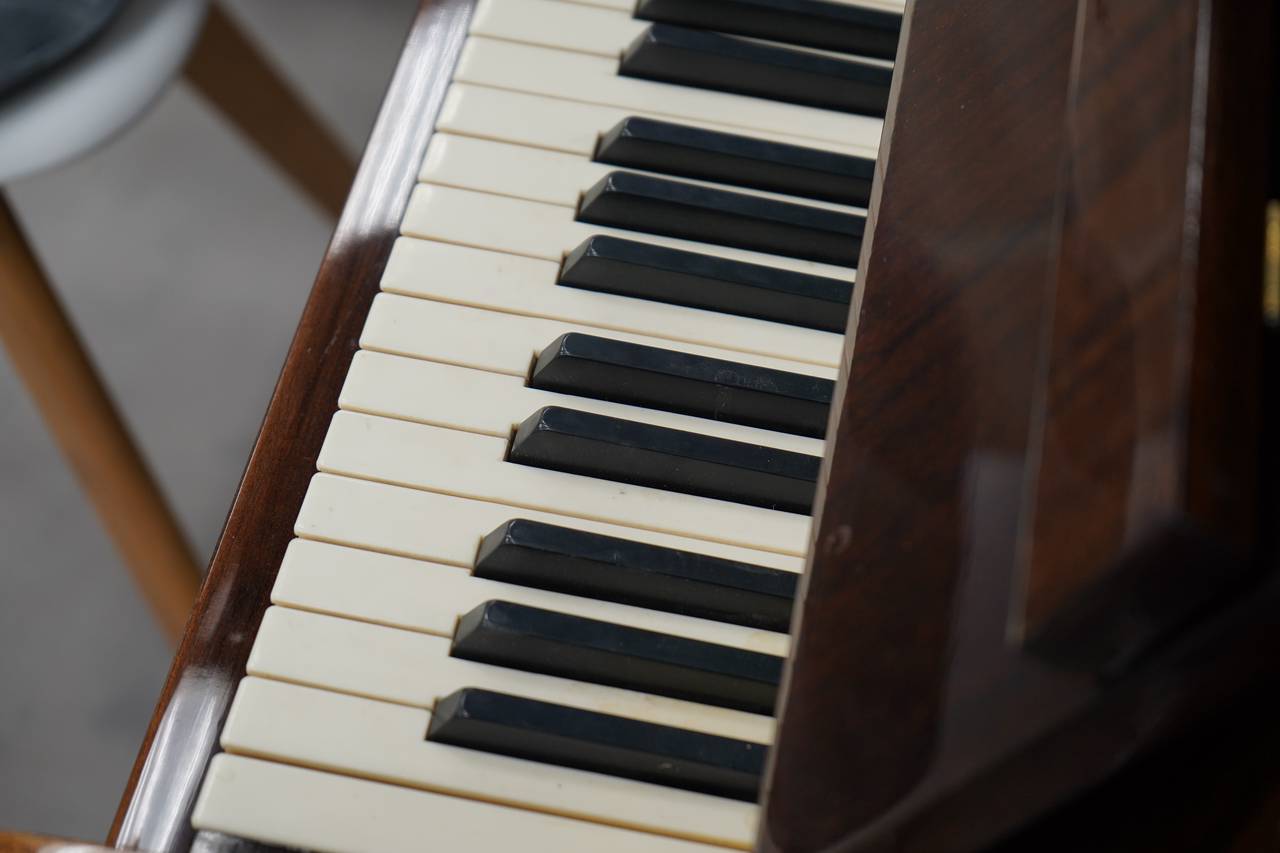 Концертную программу ко Дню муниципального округа проведут в Бирюлеве Западном. Фото: Анна Быкова, «Вечерняя Москва»