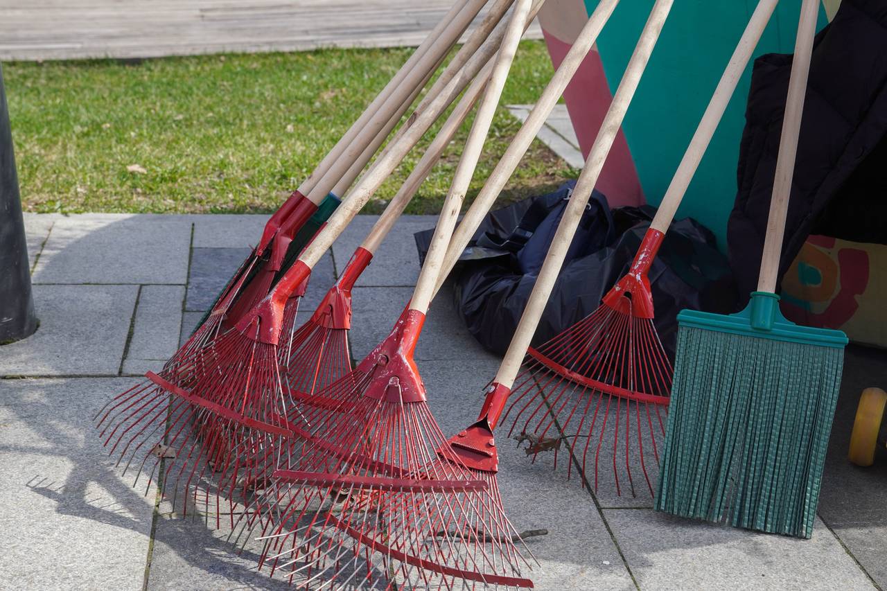 Субботник провели в Бирюлеве Западном ко Дню города. Фото: Ксения Догонашева, «Вечерняя Москва»