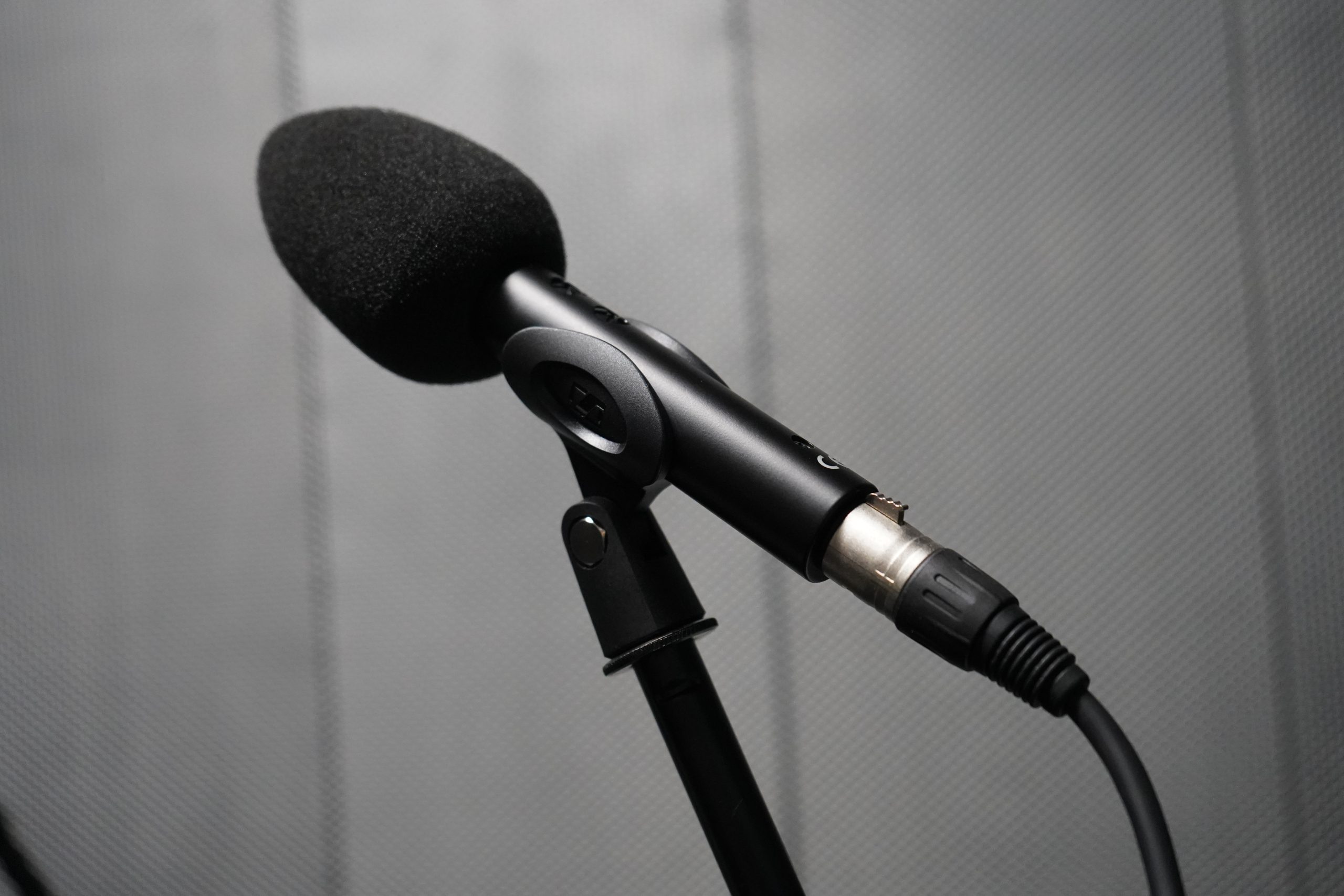 Концерт в честь Дня народного единства пройдет в Культурном центра «Дружба». Фото: Анна Быкова, «Вечерняя Москва»