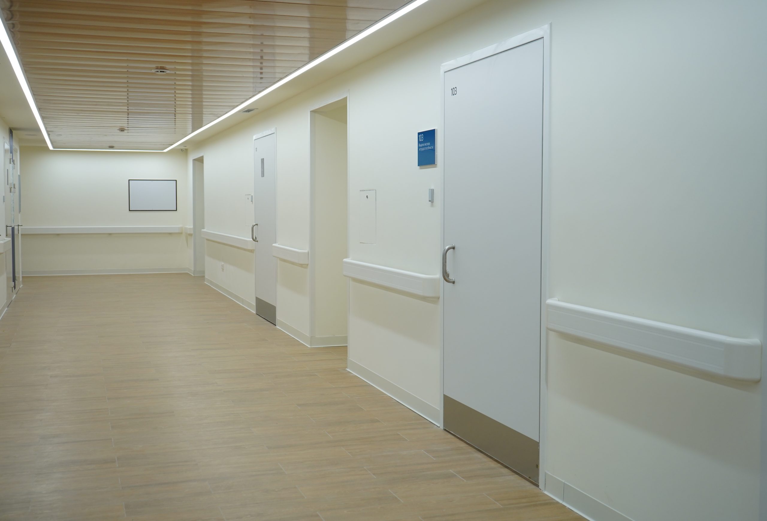 Фото: Фото: Анна Быкова, «Вечерняя Москва»