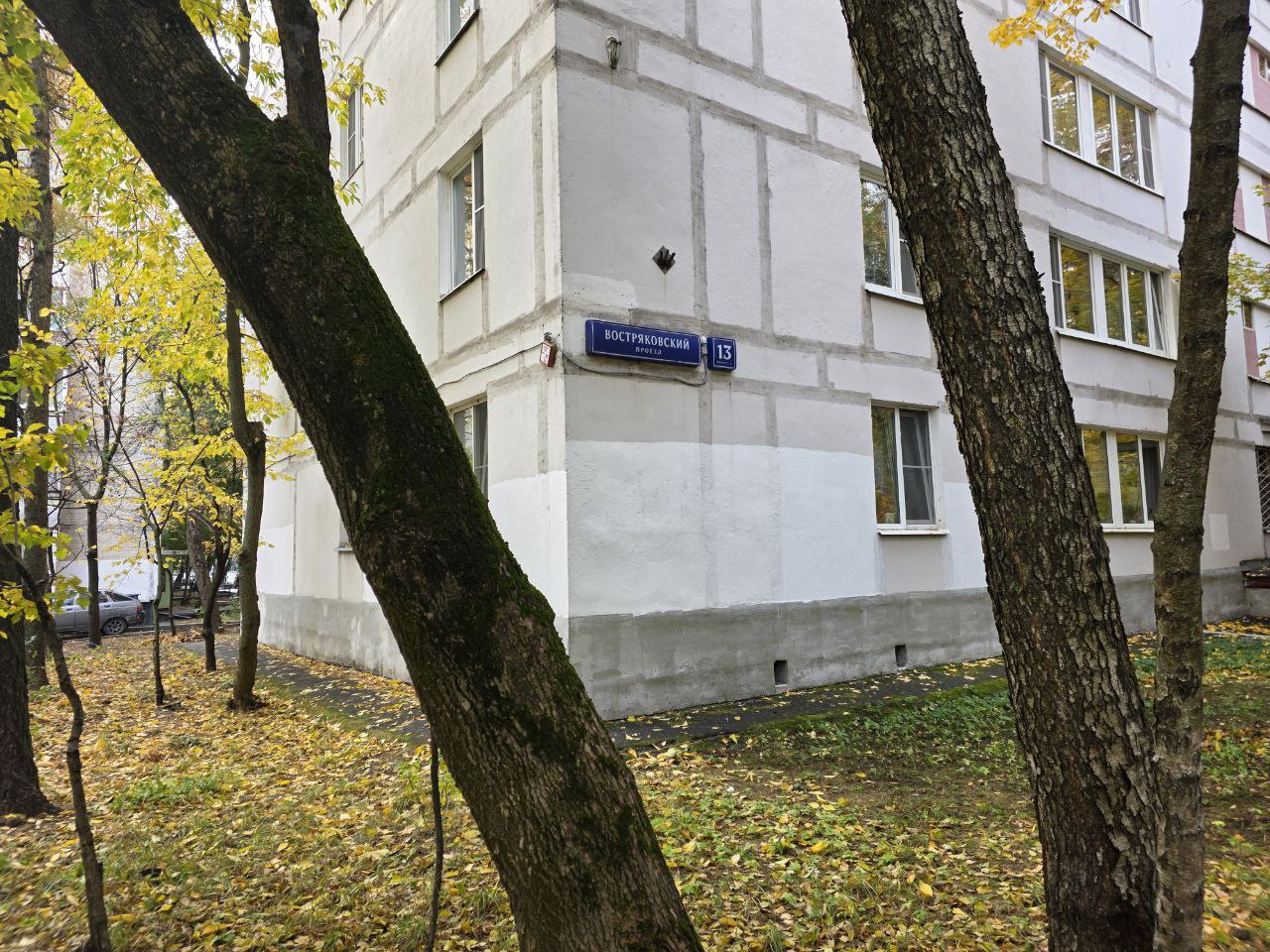 Фото: Алина Суровова