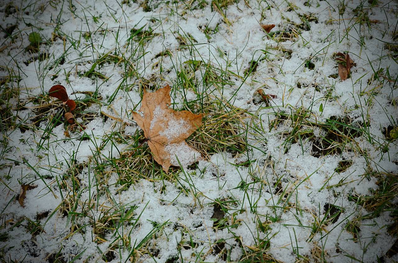 Контейнеры с противогололедными реагентами разместили в Бирюлеве Западном. Фото: Анна Быкова, «Вечерняя Москва»