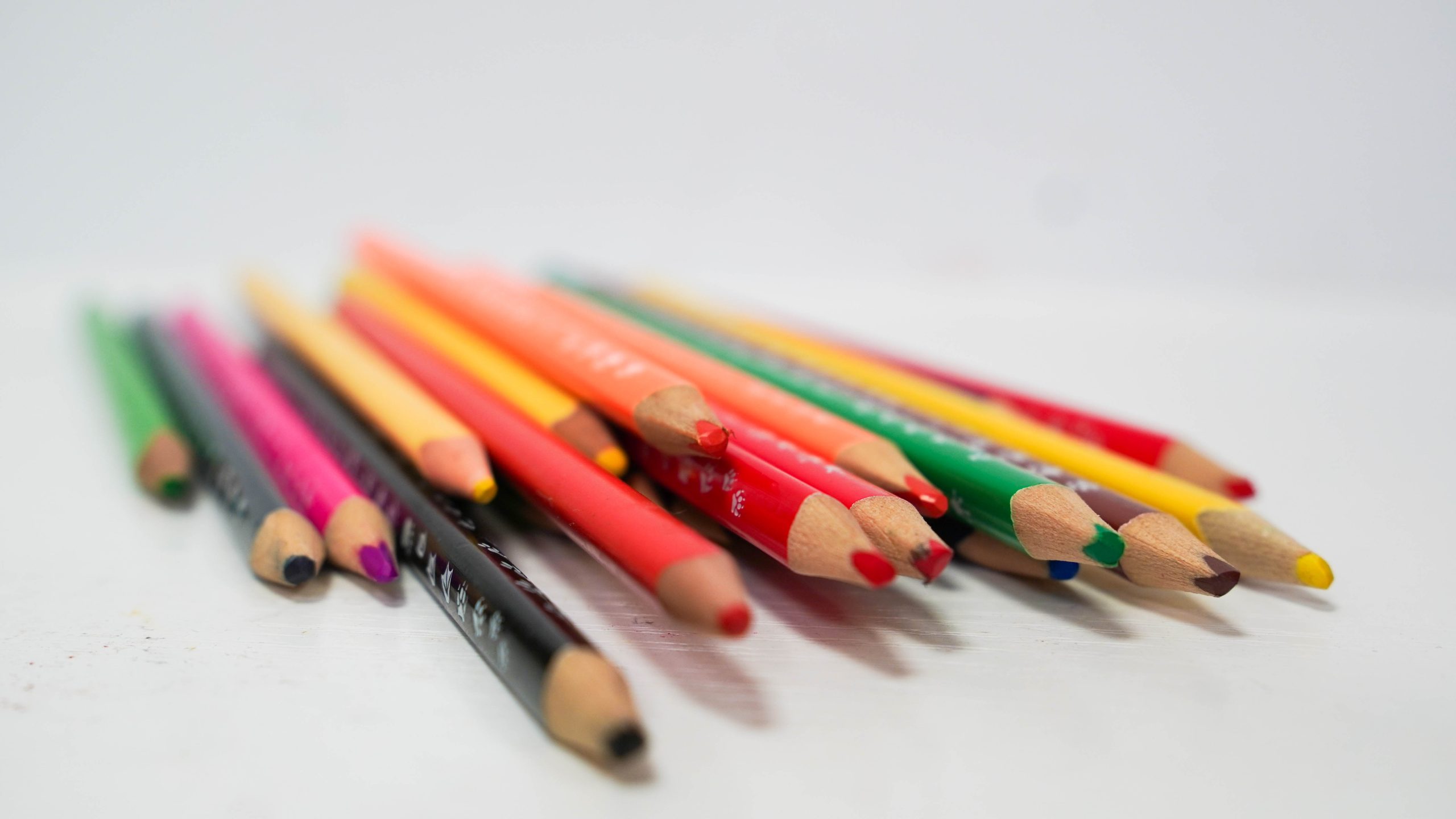 Фото: Ксения Догонашева, «Вечерняя Москва»