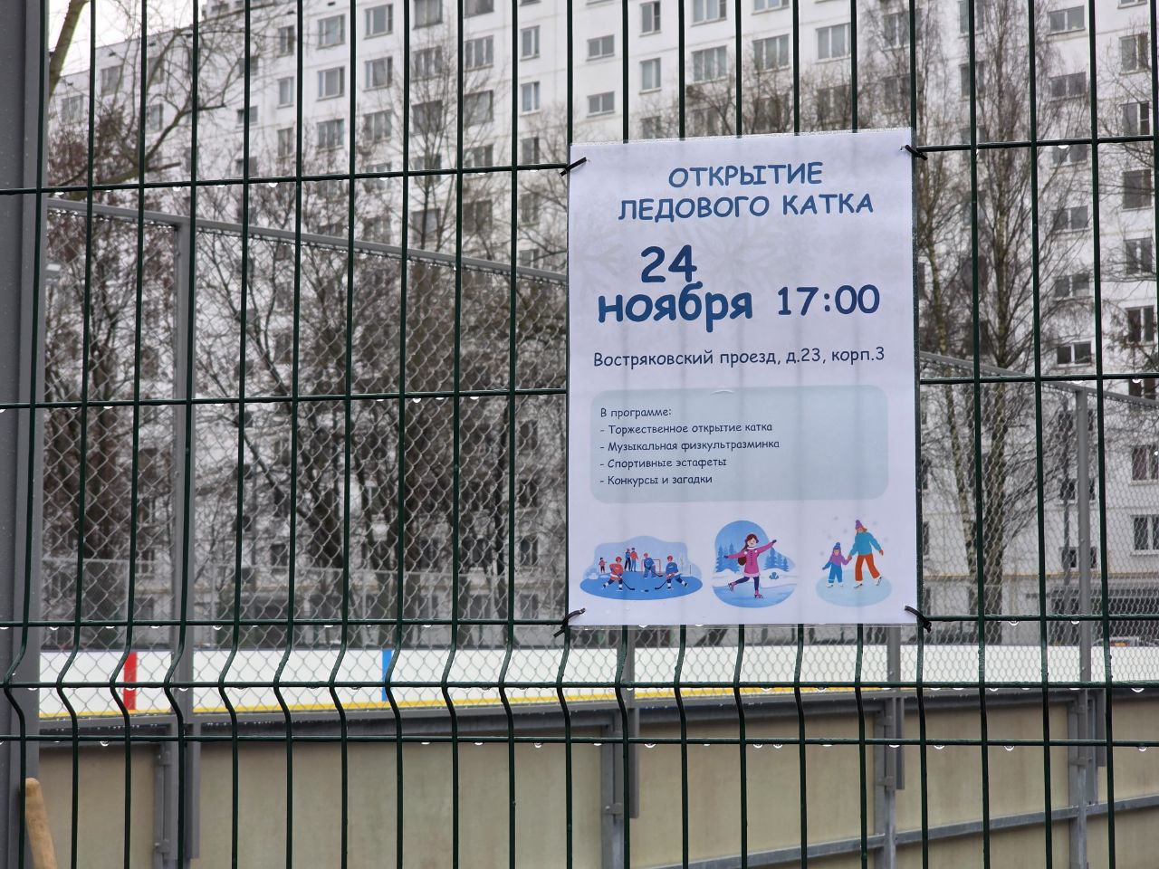 Фото: Алина Суровова