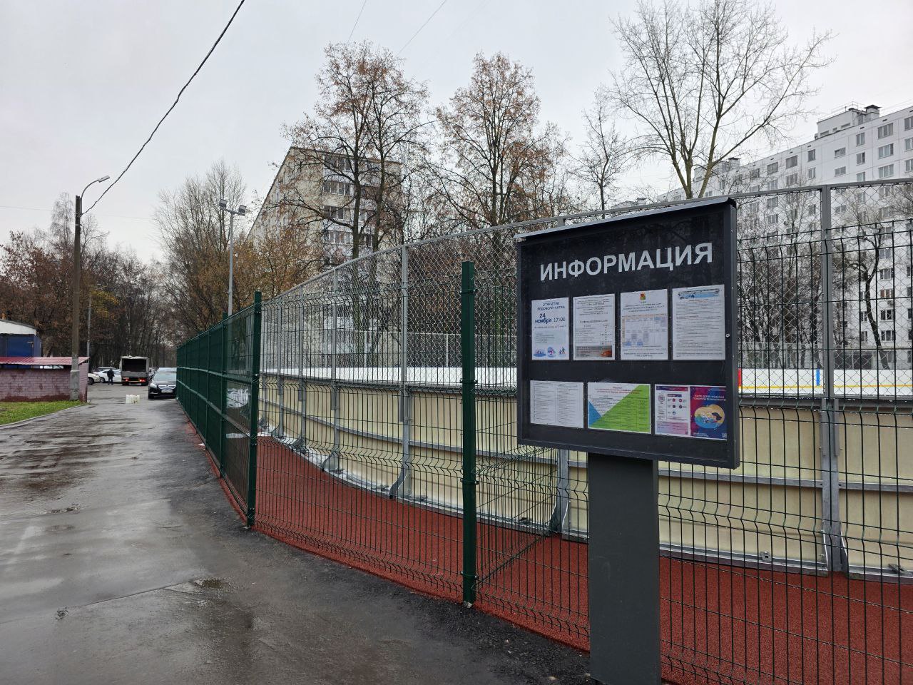 Фото: Алина Суровова